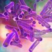 Infectiologie ( Quatrième Année ) infectieux