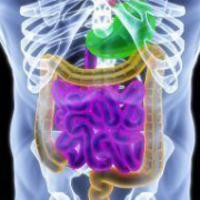 Cours vidéo Physiopathologie ( troisième Année Médecine ) physiopathologie