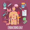 endorinologie