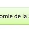 Economie de santé